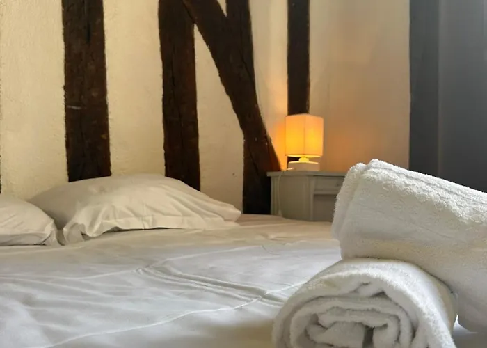 Place Plumereau De * トゥール